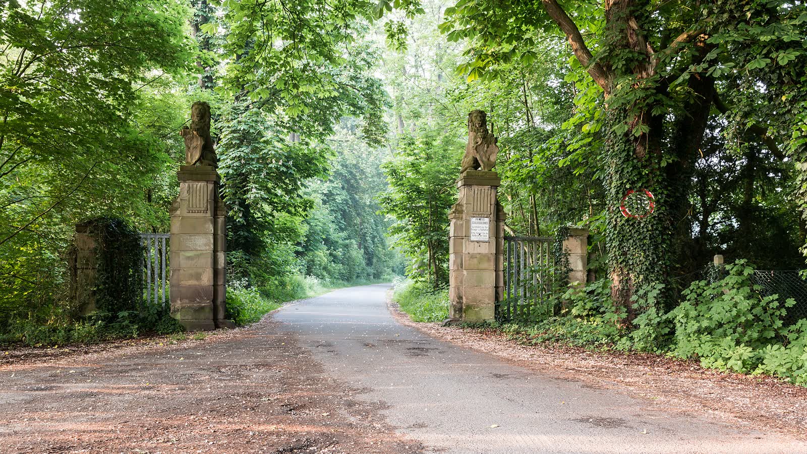 Radfahrende auf einer grünen Strecke in Deutschland
